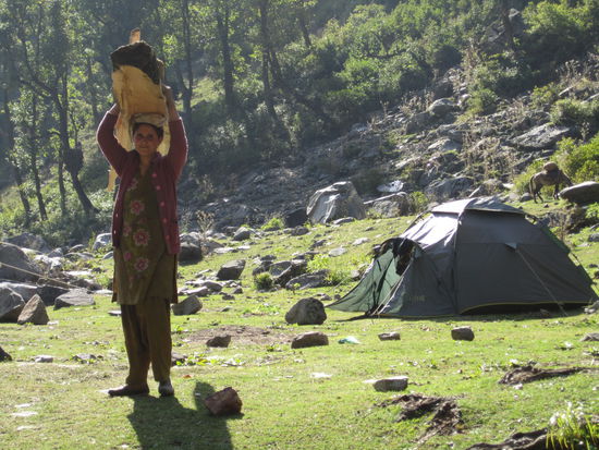 ein paar Pics gabs ja schon als "Vorschau" im Reisebericht zuvor ... also noch ein paar 