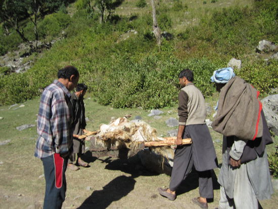die grosse Aufregung an einem Morgen ... ne Ziege ist in der Nacht von nem Felsen gestuerzt, das arme Vieh hat noch gelebt ... naja, ist wohl mittlerweile verkauft und geschlachtet