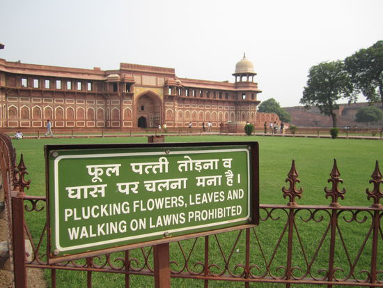 da ist wohl was schief gegangen ... wo sind denn die Blumen?