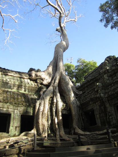 ... und ich glaube, dass ist der berühmteste von allen ... natürlich muss so sein, umsonst steht davor nicht die Fotoplattform 