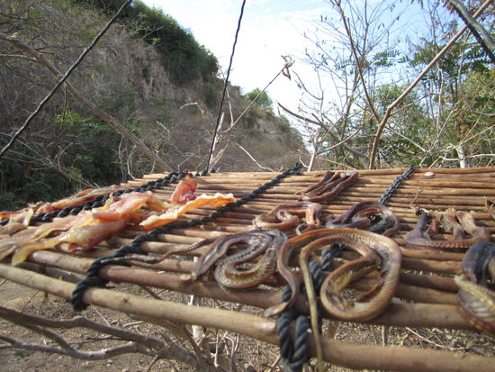 ... SCHLAAAAAAAAANGEEEEEE ... immer noch nicht probiert 