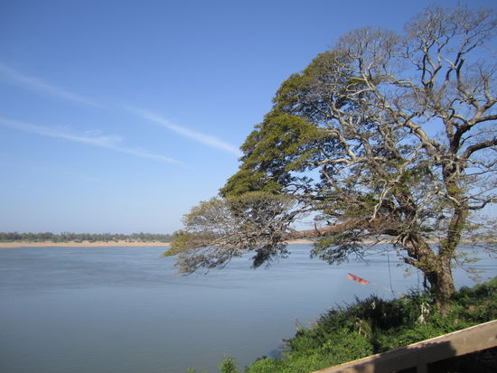 ... am Mekong