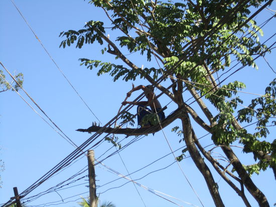 Flo ... du könntest auch Elektriker in Kambodscha werden  ... die suchen Baumkraxler, um die Leitungen wieder freizulegen :p