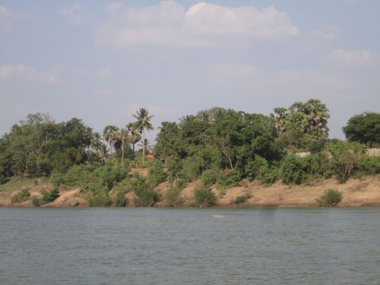 ... leider auf den Pics nur im Hintergrund  ... die Delphine ohne Nasen ...