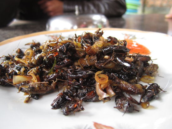 ... Hmmmmmmmmm ... lecker 