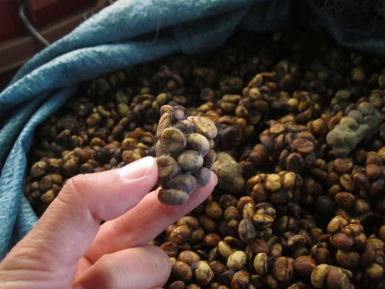 ... und Katzenkacke ...