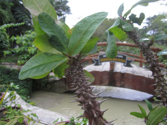... die Farbe des Wassers im Hintergrund, war die Farbe des Schlammes fürs Gatschbad  ... aber auch schon bevor ich nach 3 Monaten backpacken drinnen gehockt bin!
