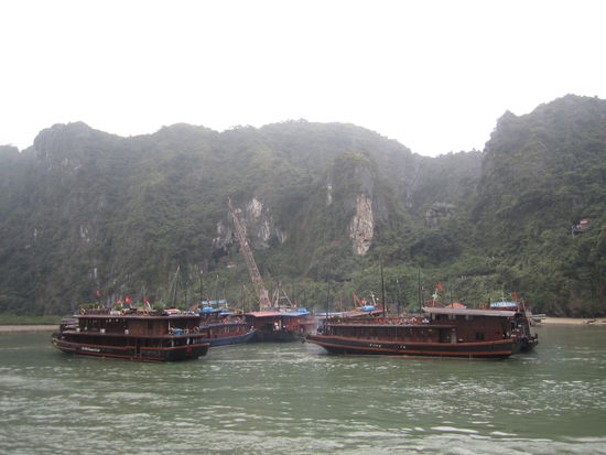 ... viele viele Black Pearls, im Hintergrund ne Baustelle und wieder im Hintergrund der Eingang zu Höhle ... 