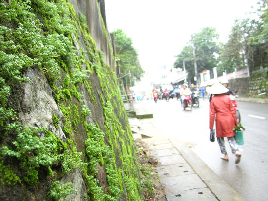 ... dauerfeucht ... ich überleg mir auch schon, so einen Hut zu besorgen ... Sonnen- und Regenschirm in einem ... 