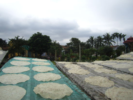 ... das Reis so vielfältig sein kann  ... hmmm