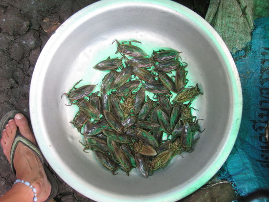 ... iiiiiiiiiiiii ...