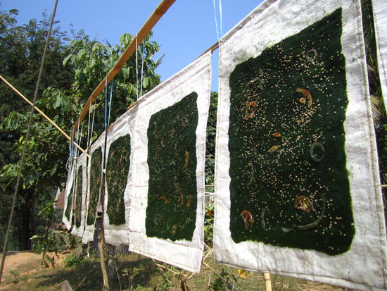 ... getrocknetes Riverweed ... 