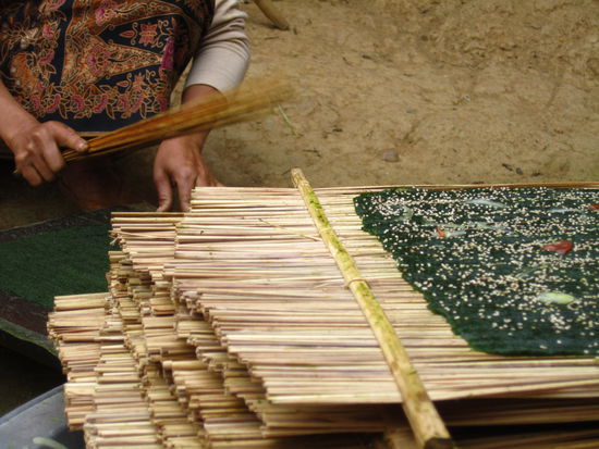 ... Riverweed in progress ...