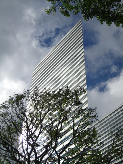 ... bleib lieber am Boden und guck ...