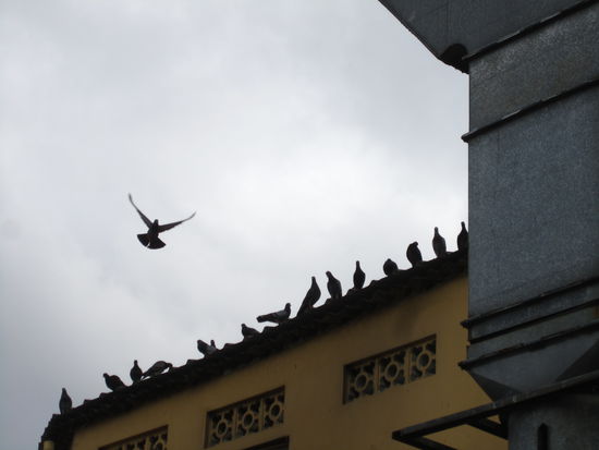 ... flying on ... good bye SEA! ...