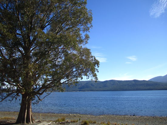 ... beim See sitzend ...