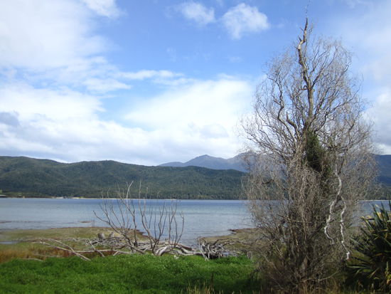 ...  Kepler Track ...