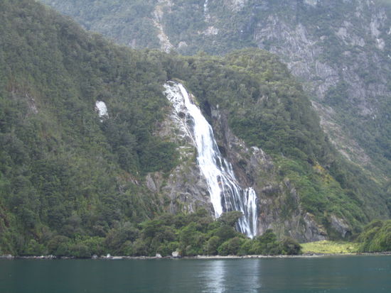 ... und wenn es regnet, sind die Felsen voll davon ...