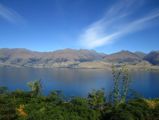 ... von Wanaka Richtung Franz Josef ...