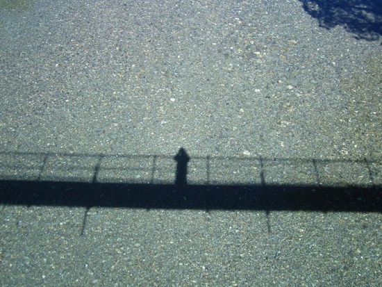 ... glasklar ... ob hier auch Parasiten schwimmen? ...