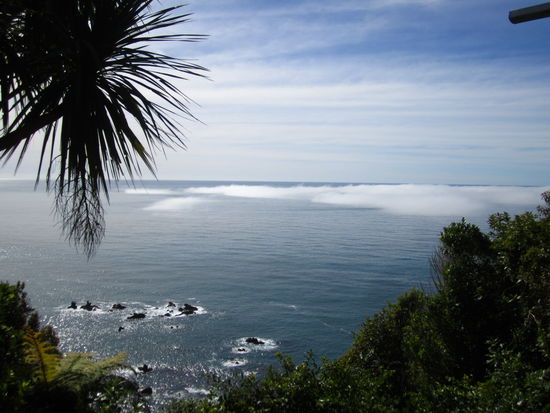 ... the fog ... wir haben die Küste erreicht  ...