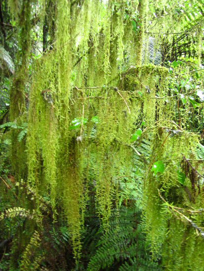 ... tropfend und triefend schön ...