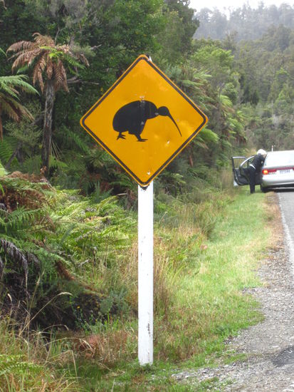 ... am Weg nach Greymouth ...