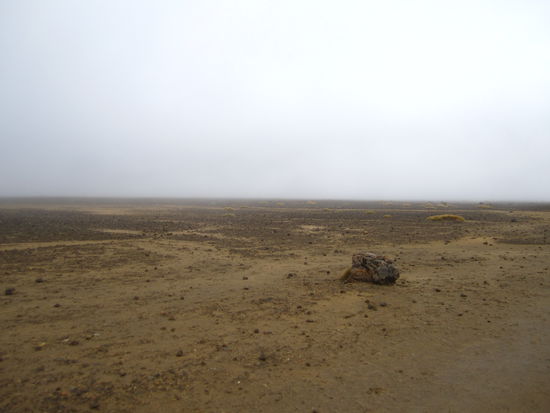 ... hinter dieser Wand aus Nebel ist eine recht schöne Kulisse versteckt  ...