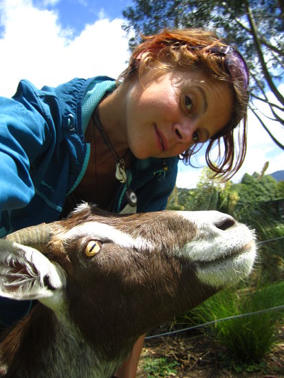 ... mein Nachbar ...