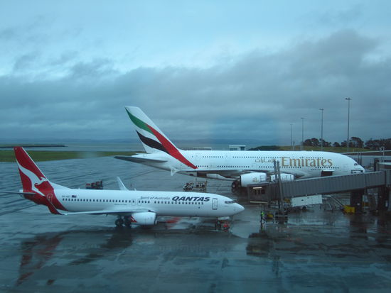 ... das hintere Vögelchen ist meines ... riiiiiiiiiesig 