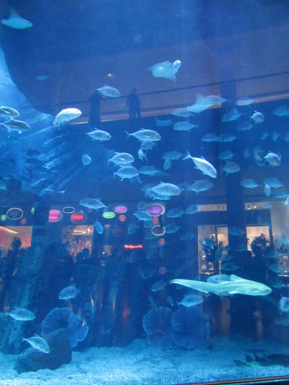 ... Einkaufszentren als Erlebnispark ... 