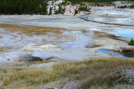 Steamvents (wenig Wasser und große Hitze, deshalb nur heißer Dampf der nach Schwefel stinkt)