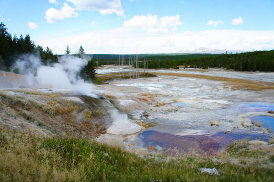 überall tritt heißes Wasser aus der Erdkruste, durch Bakterien und Algen schillern sie in den verschiedensten Farben (je nach Temperatur)