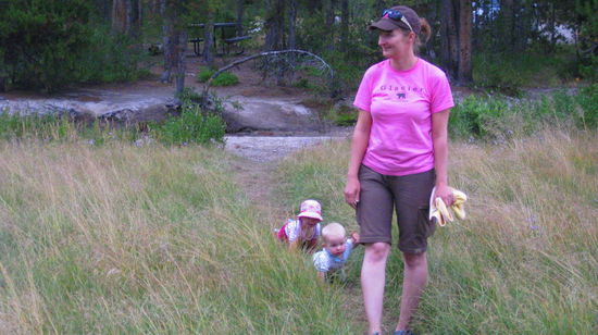 die kleinen Krabbeltiere folgen uns