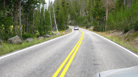 man sieht ihn kaum den Coyoten (kurz vor dem Auto neben der schiefen Birke)