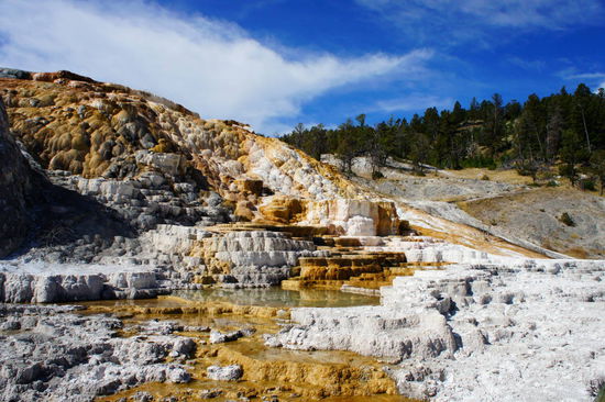 Mammoth Hot Springs