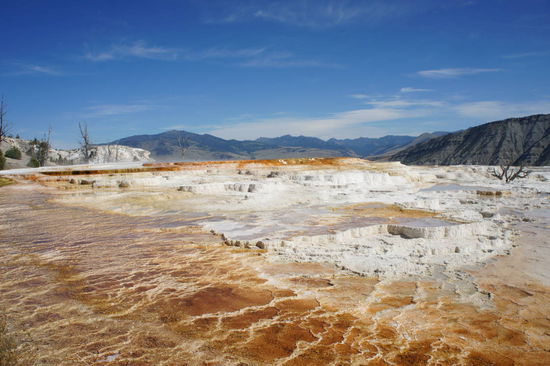 Mammoth Hot Springs