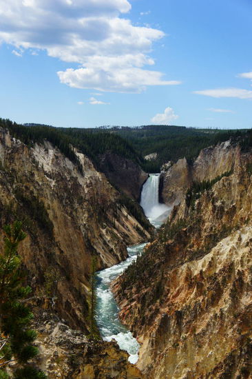 Lower Falls im Grand Canyon of the Yellowstone River