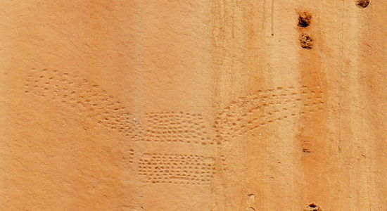 Petroglyphen im Echopark (sind in ca. 12m Höhe - wer macht sowas?)