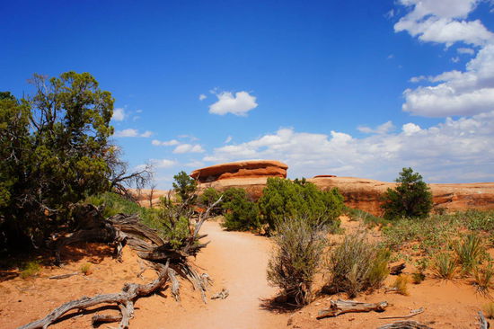 ein wirklich schöner Trail!
