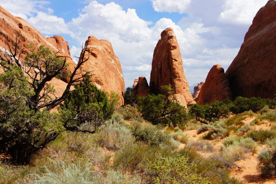 Ausgang aus dem Devils Garden zwischen steilen Felswänden