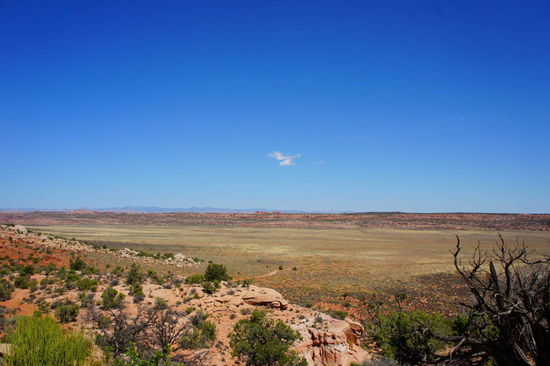 Salzebene im Arches NP