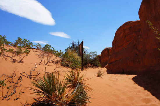 Rückweg vom Tower Arch zum Auto