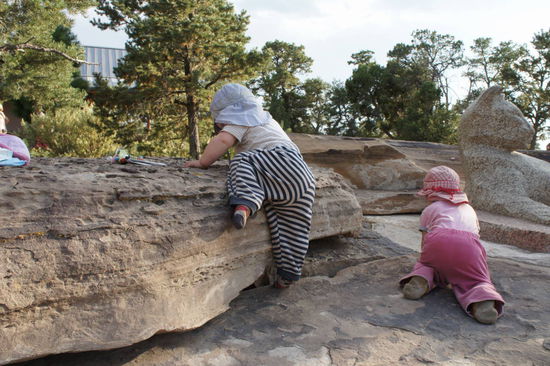 Jede Pause wird für Kletterversuche genutzt