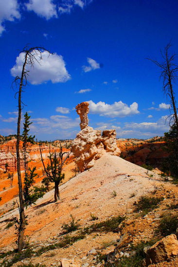 White Hoodoo