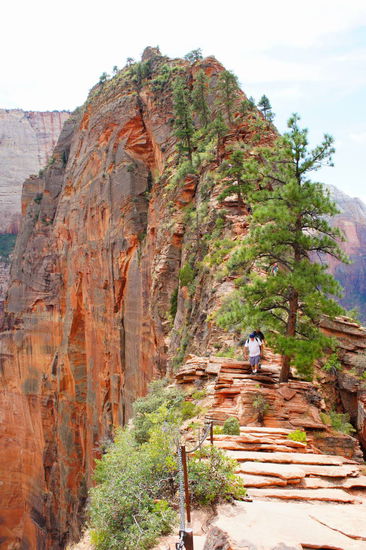 zum Plateau bevor die "Kraxelei" beginnt (dieser schmale Bergrücken ist der Zugang zum Angels Landing)