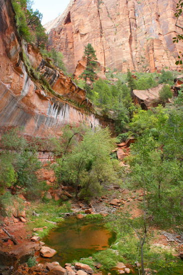 der Lower Emerald Pool (die anderen sollen noch größer und schöner sein, aber die mittleren waren leider geschlossen)