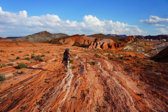 auf dem Weg zur Fire Wave