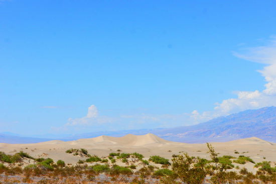 schöne Sanddünen am Wegesrand