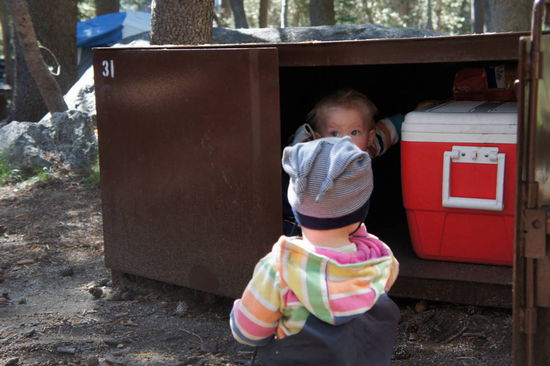 auf dem Zeltplatz angekommen wird erstmal alles gründlich untersucht
